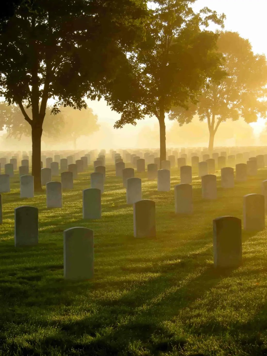 Morning sun through trees over rows of headstones