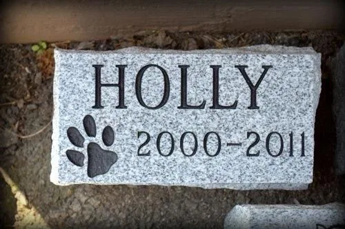 Gray granite pet marker with a paw print, Holly 2000 to 2011